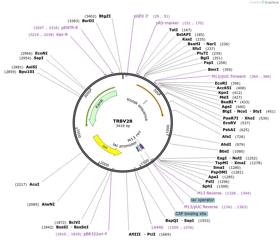 245041_map