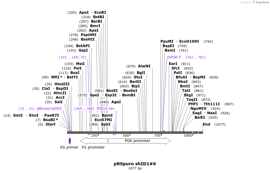 24509_map