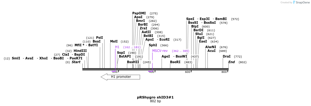 24510_map