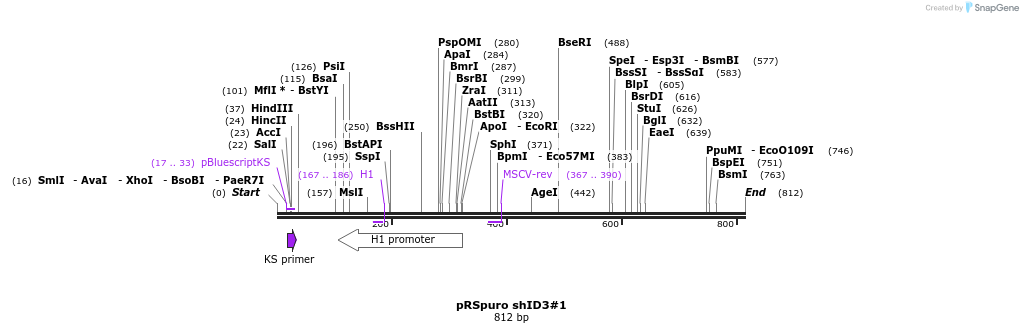 24511_map