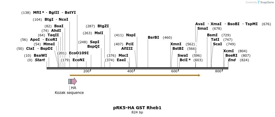24512_map