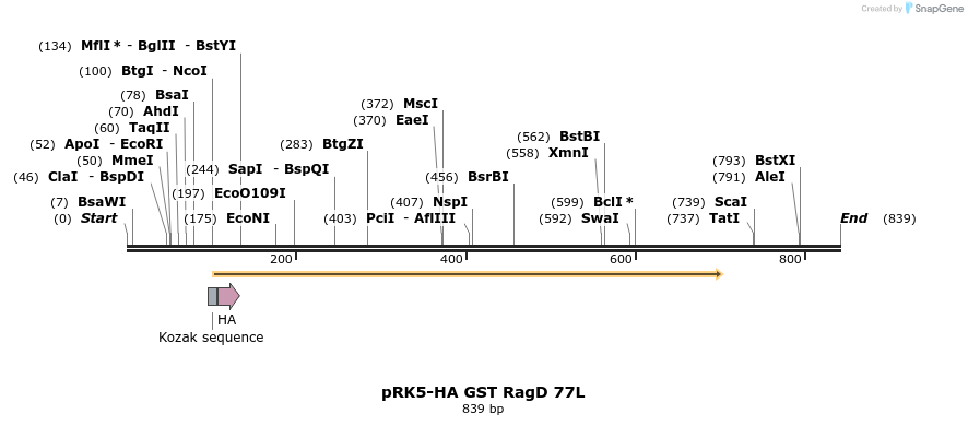 24516_map