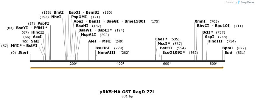 24517_map
