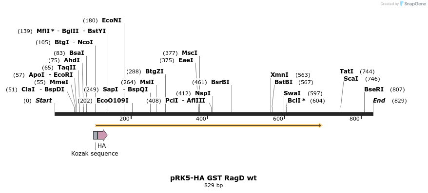 24518_map