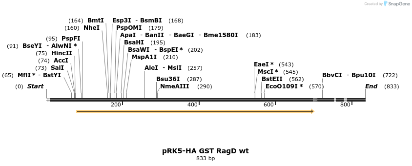 24519_map