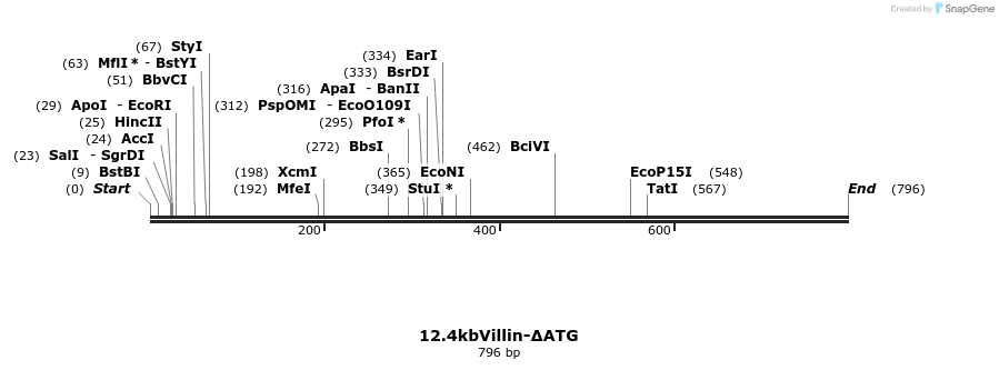 24520_map