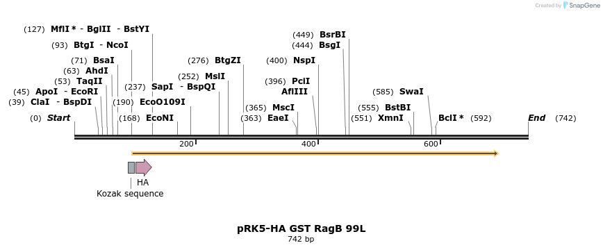 24527_map