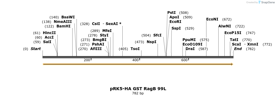 24528_map