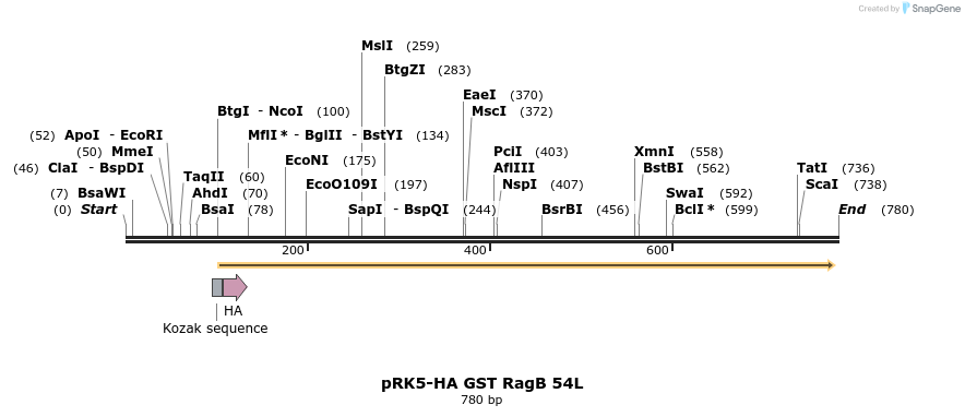 24529_map