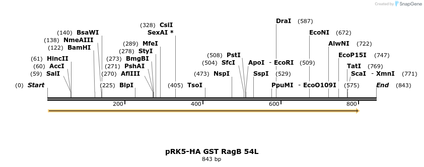 24530_map