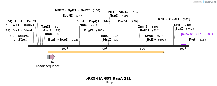 24535_map