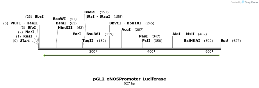 24540_map
