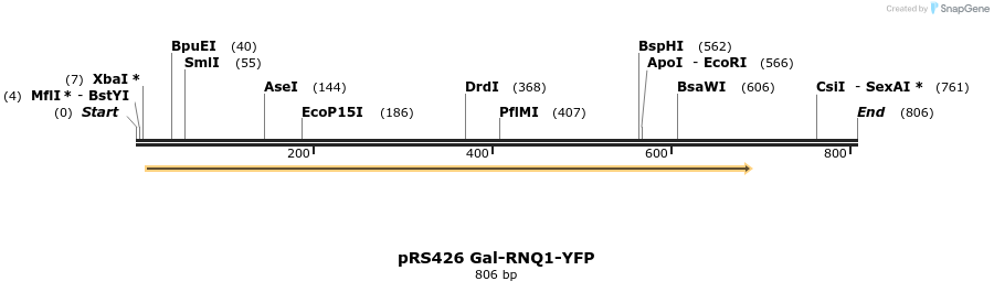 24544_map