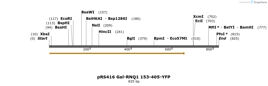 24547_map
