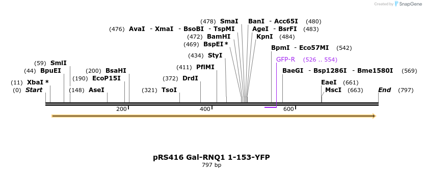24548_map