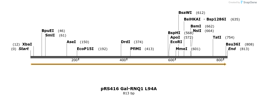 24549_map