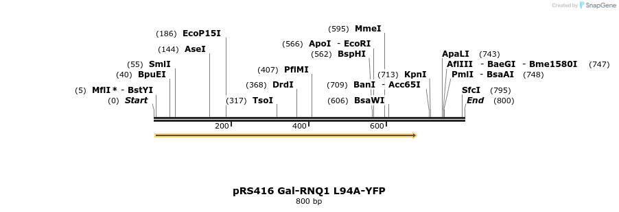 24550_map