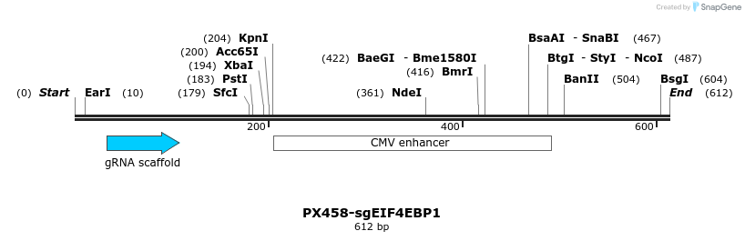 245519_map