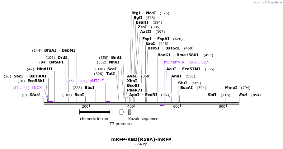 24553_map