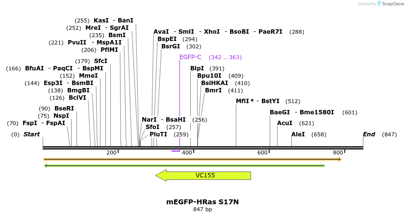 24556_map