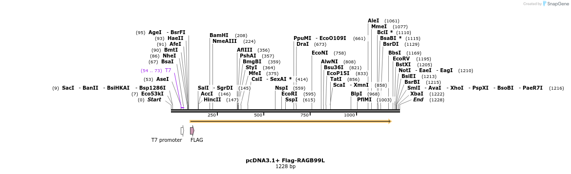 245571_map
