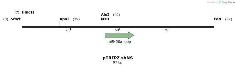245575_map