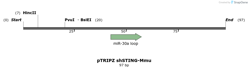 245581_map
