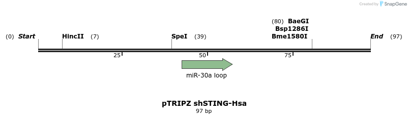 245582_map