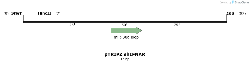 245586_map