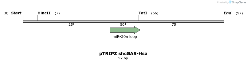 245588_map
