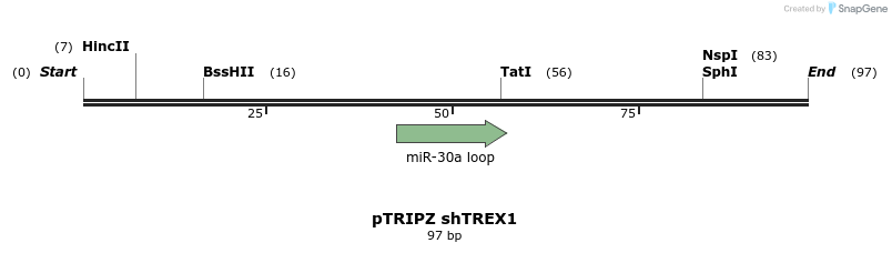 245589_map