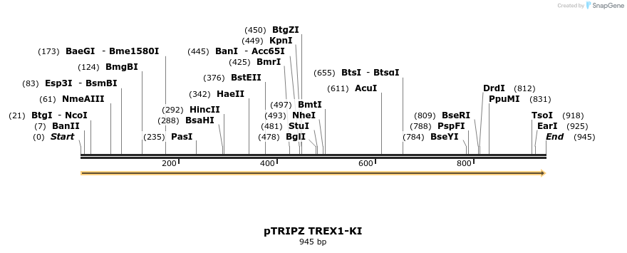 245591_map