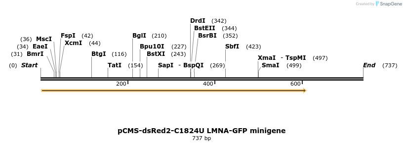 245624_map