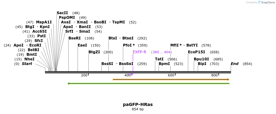 24563_map