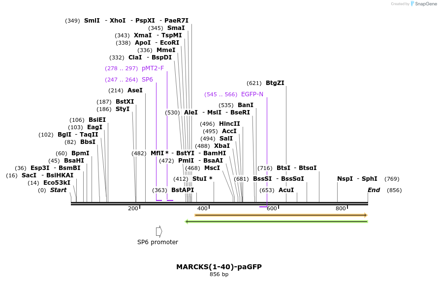 24567_map