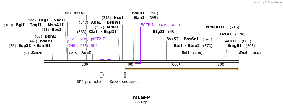 24568_map