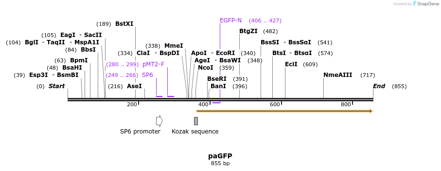 24569_map