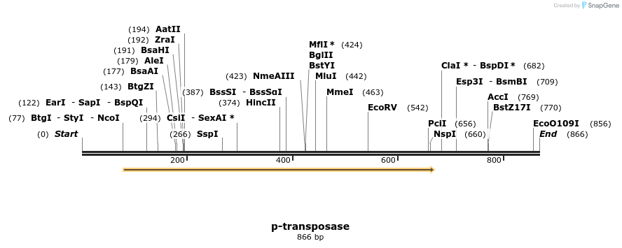 24570_map