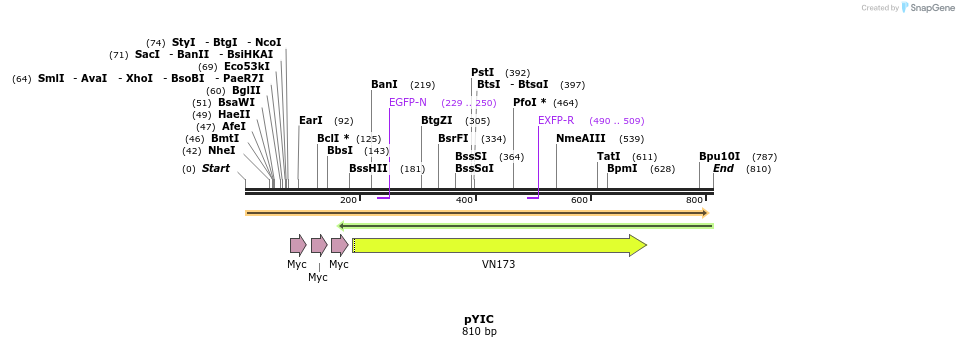 24573_map