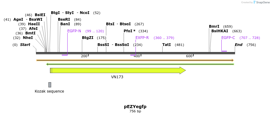 24577_map