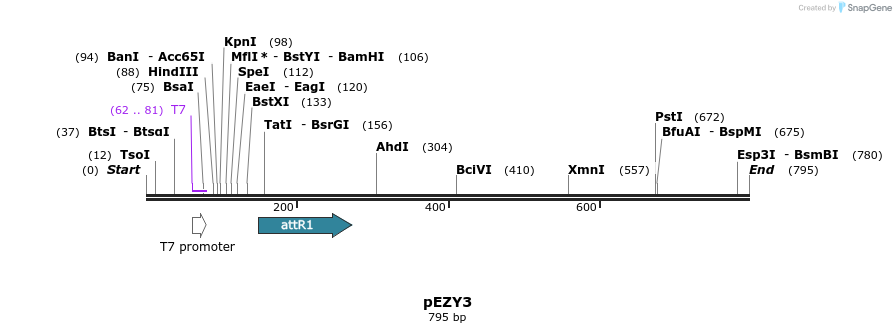 24578_map