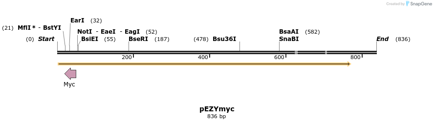 24580_map
