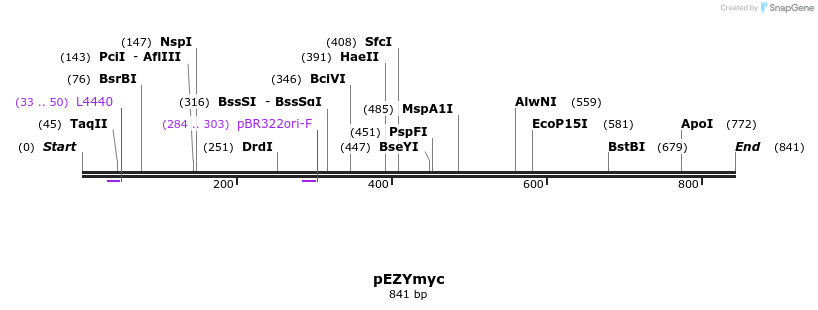 24581_map