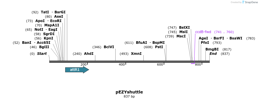 24582_map