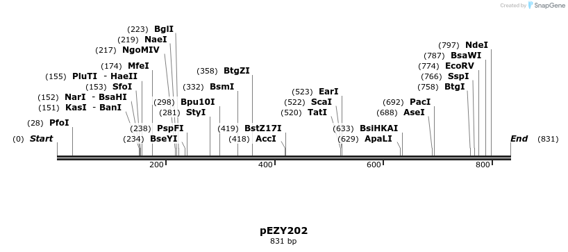 24584_map