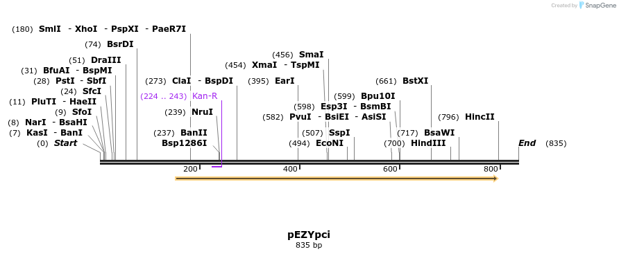 24585_map