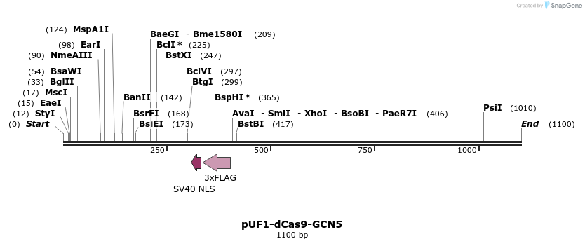 245850_map