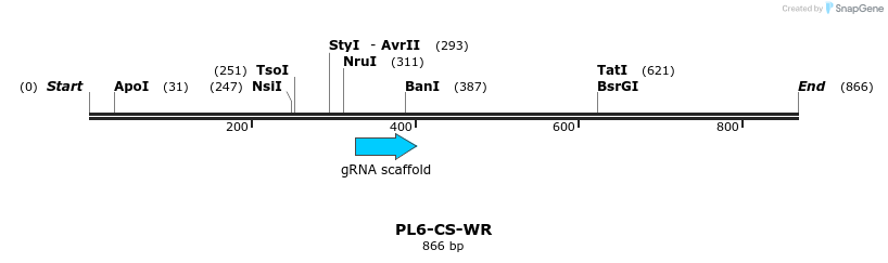 245893_map
