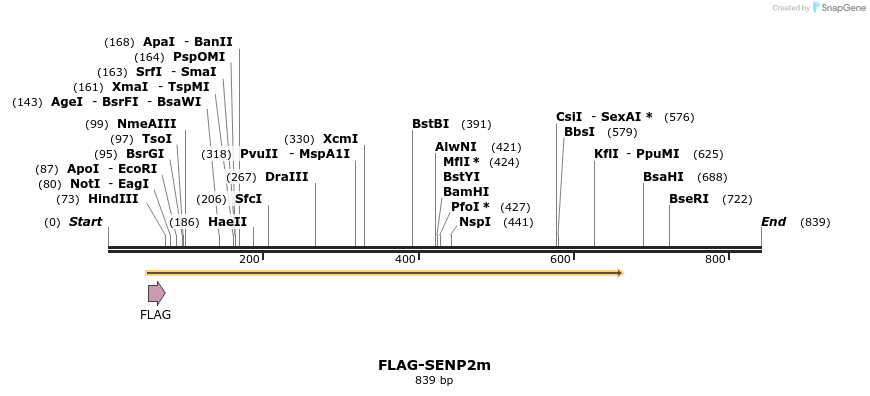 24593_map