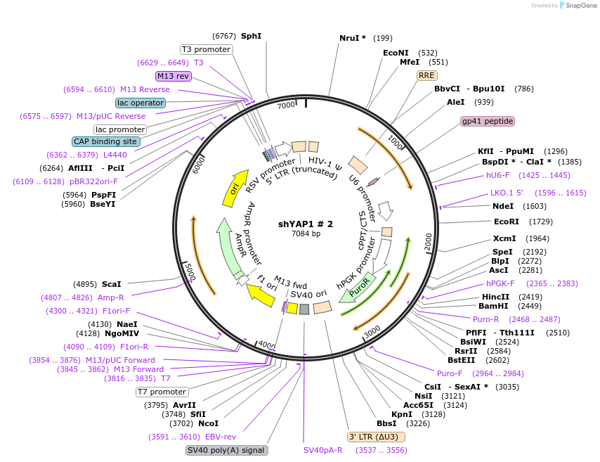 245930_map